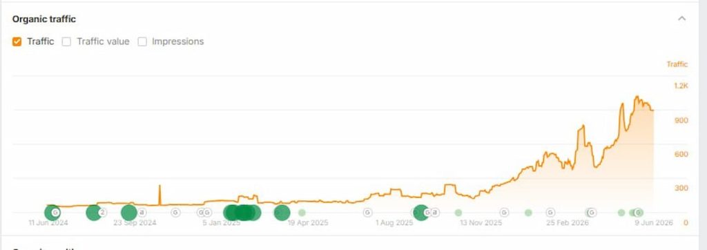 Before SEO services, Paleo Pet's low organic visibility and limited search traffic